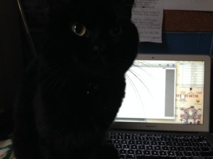 Mo Magee and writing