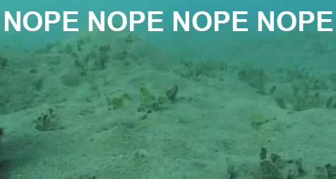 Octopus running away saying NOPE